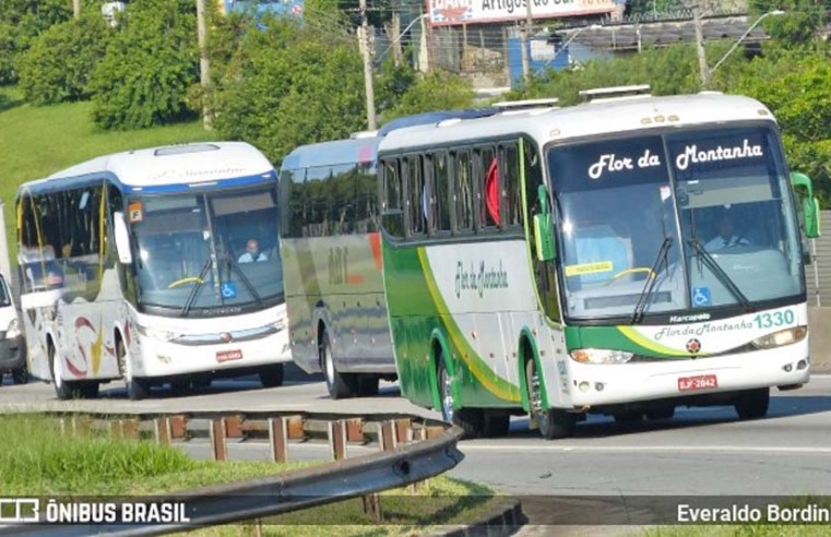 Estradas: Motoristas de caminhões e ônibus sem exame toxicológico pagarão multa