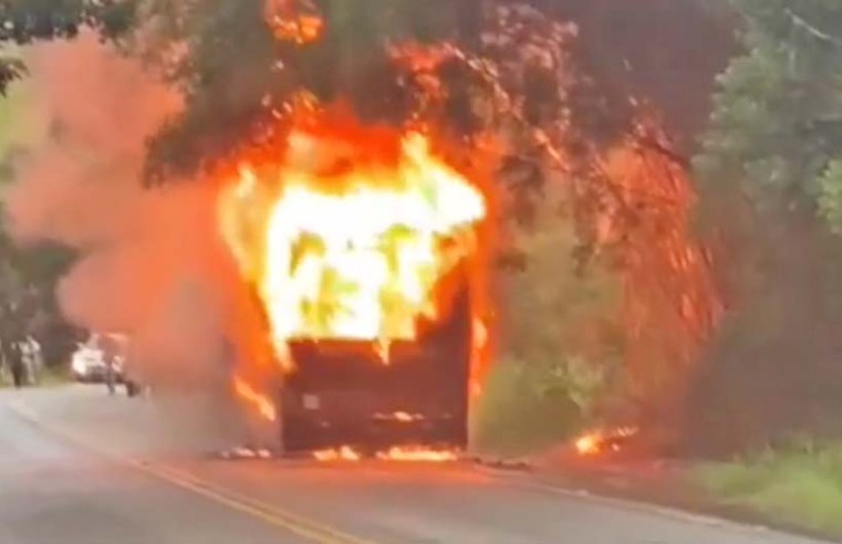 MG: Ônibus da Expresso Gardenia pega fogo em São José do Alegre - Vídeo - revistadoonibus