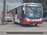 RJ: Novos ônibus da Tinguá devem entrar em operação entre janeiro e fevereiro de 2023 - revistadoonibus