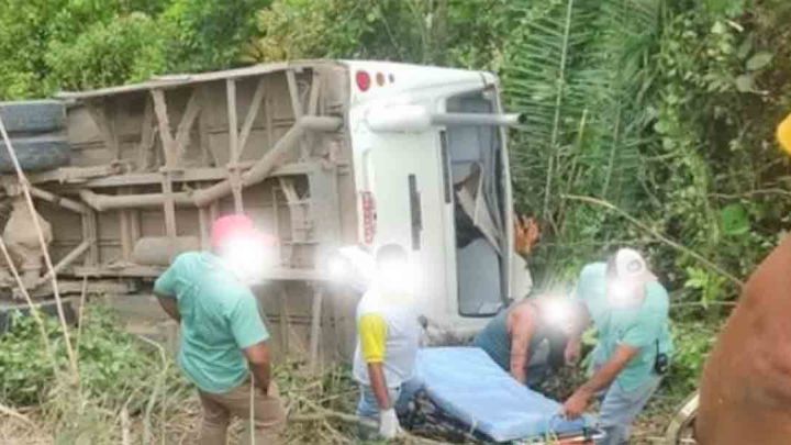Estrada: Micro-ônibus tomba em São Luís do Quitunde