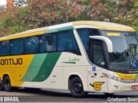 CAE aprova passe livre para pessoa com deficiência em avião e ônibus leito - revistadoonibus