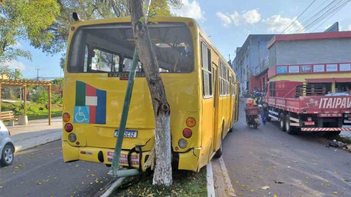 AL: Ônibus perde freio e atinge árvore em Palmeira dos Índios