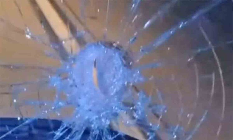 Vídeo: Ônibus do cantor Luka Bass é apedrejado na BR-101 - revistadoonibus