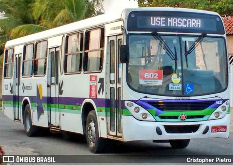 SE: Ônibus colide contra árvore em Nossa Senhora do Socorro - revistadoonibus