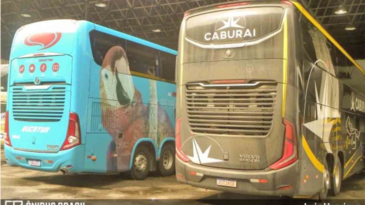 Boa Vista x Manaus está com alta busca por passagens