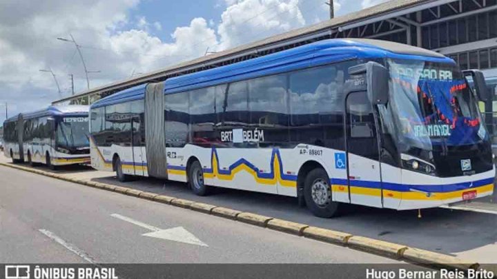 Vídeo: Motociclista morre ao bater em ônibus do BRT Belém