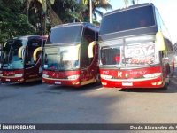 Aparecida: Empresas de turismo apostam em romarias - revistadoonibus