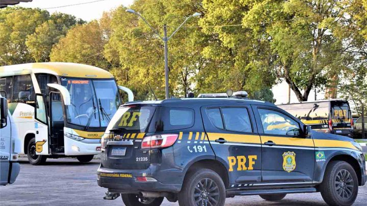 BA: Passageiro é preso com pássaros em ônibus na BR-116