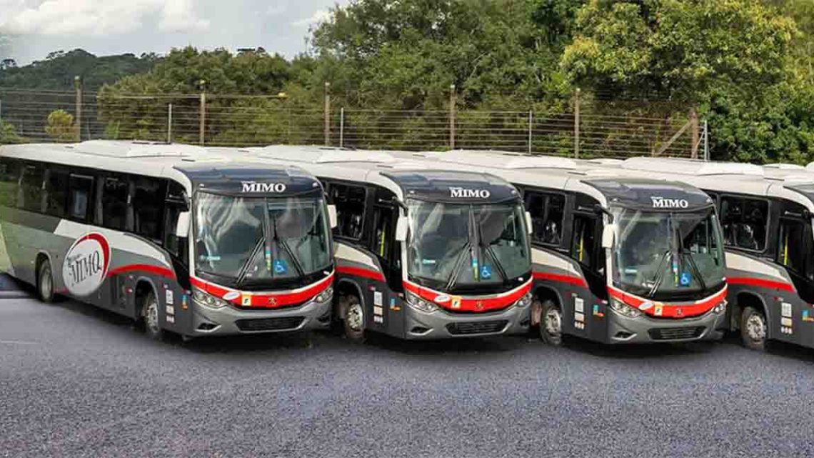 Viação Mimo renova com Marcopolo Viaggio G8 800 Mercedes-Benz