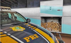 MS: PRF apreende 554 Kg de maconha em Ponta Porã - revistadoonibus