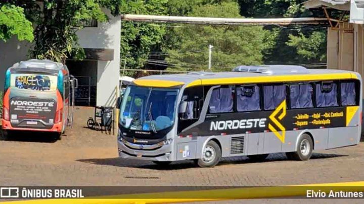 Nordeste incorpora 30 ônibus Mascarello Ello Iveco Bus