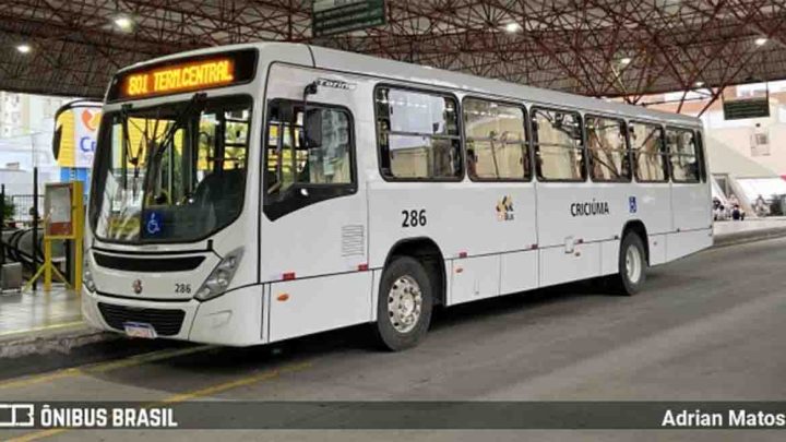 Criciúma: Homem acaba preso ao roubar telefone em ônibus