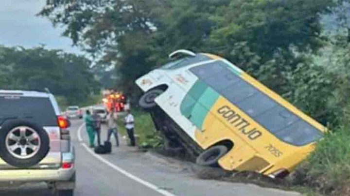 MG: Ônibus da Gontijo tomba na BR-262 em Rio Casca