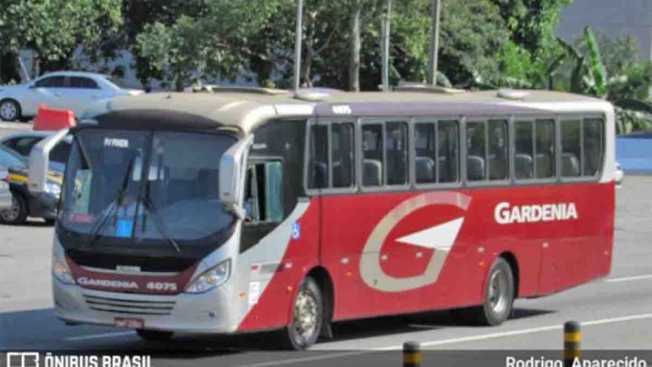 Gardenia só volta operar linhas no Sul de Minas após regularizar ônibus