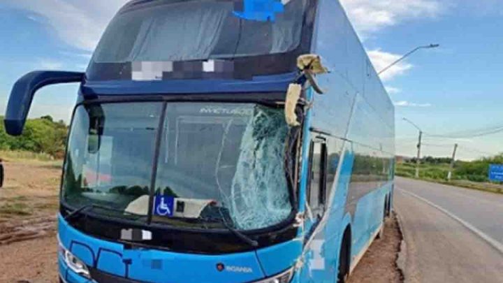 PE: Ônibus da Progresso sofre acidente na BR-428