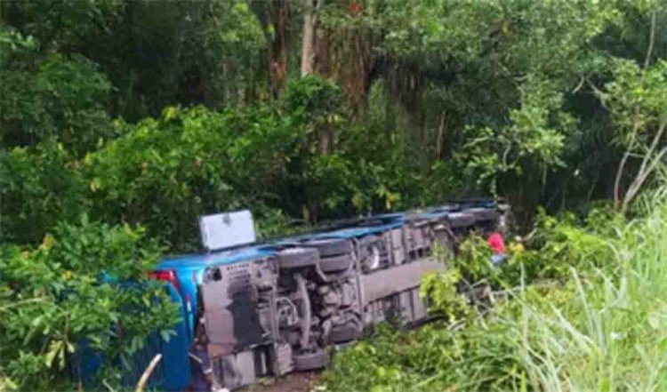 BA: DD G8 da Aguia Branca tomba e deixa 13 feridos em Buerarema - revistadoonibus