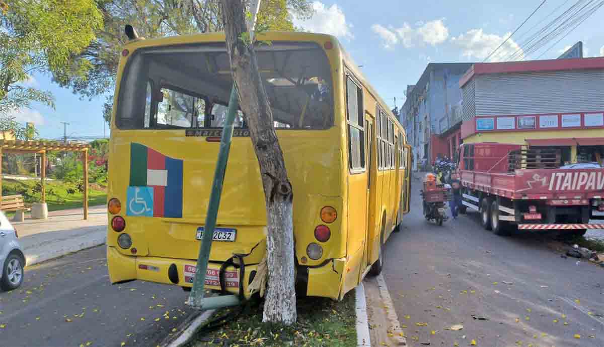 AL: Ônibus perde freio e atinge árvore em Palmeira dos Índios